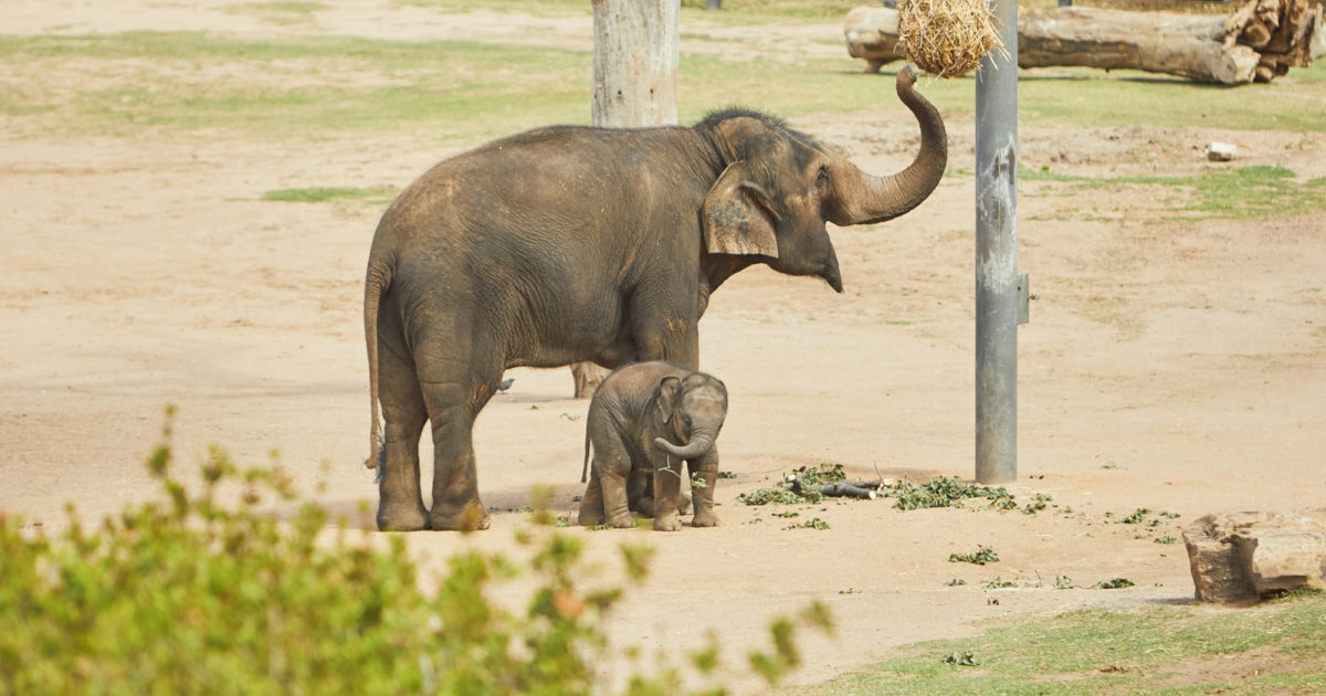 10 things to see and do in the Dubbo Region • Dubbo Region