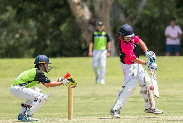 NSW Cricket Youth Championships