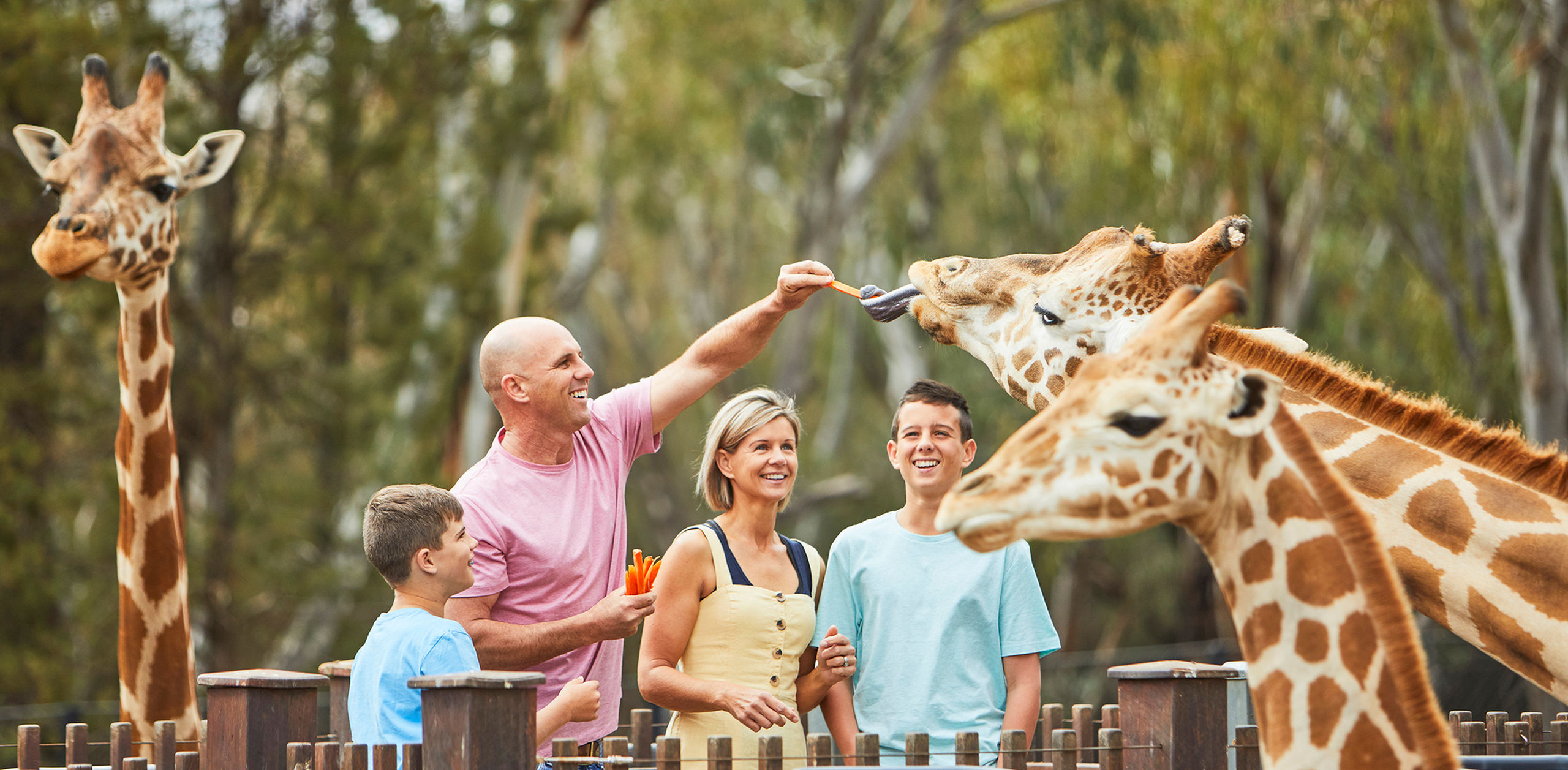 Taronga Zoo