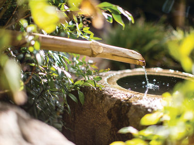 Shoyoen Japanese Garden