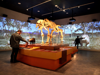 Wellington Caves Ancient Landscapes Gallery