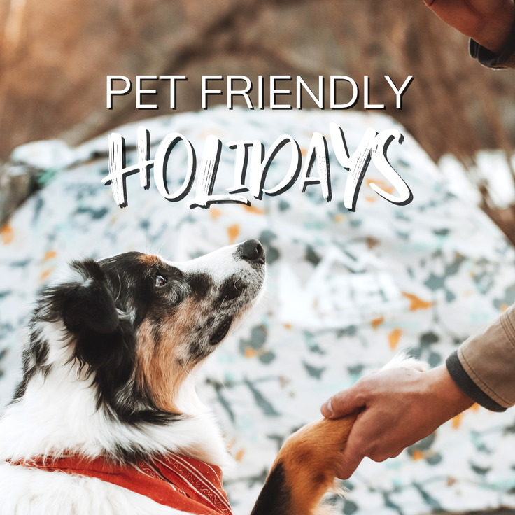 Pet friendly holidays in the Dubbo Region • Dubbo Region