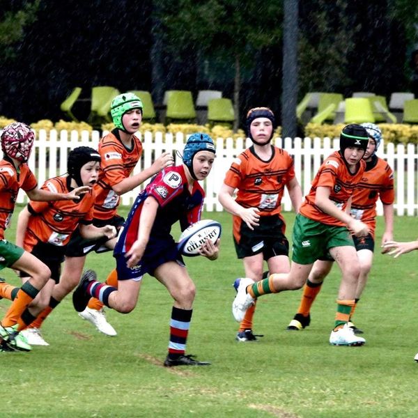 345175807 1524553591646333 501586197855020209 n