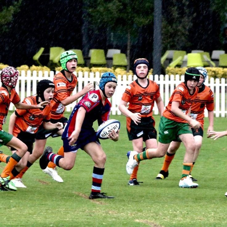 345175807 1524553591646333 501586197855020209 n