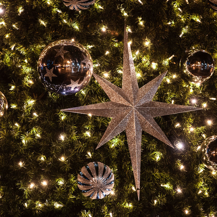 Christmas in the Dubbo Region General Image