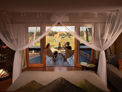 Zoo accommodation website 2