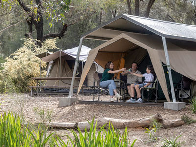 Zoo accommodation website 4