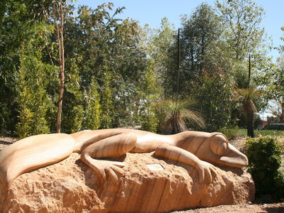 Dubbo Sensory Garden Barking Gecko