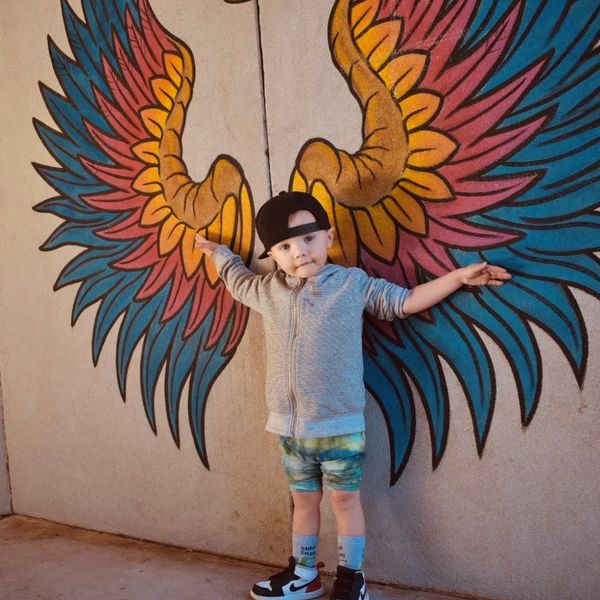 Dubbo Adventure Playground wings