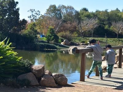 Japanese Gardens Koi Pond