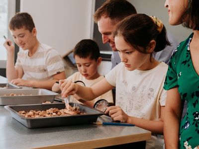 Fossil Discovery Lab 3