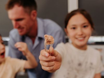 Fossil Discovery Lab 2