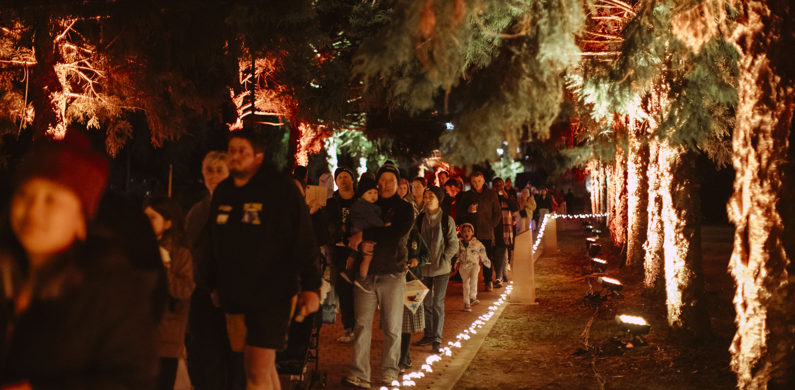 DREAM Festival Light Walk