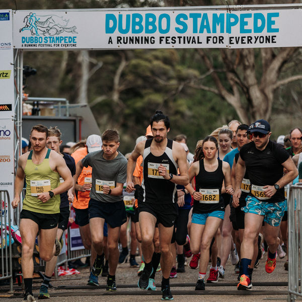Dubbo Stampede