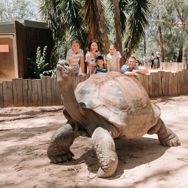 Family with a Giant Tortoise at Taronga Western Plains Zoo
