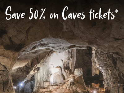 Mates Rates - Wellington Caves