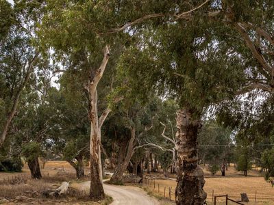 Discover roads less travelled in the Dubbo Region