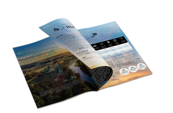 Investment Prospectus mockup Magazine