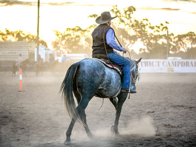 Trangie EVENTS Campdraft