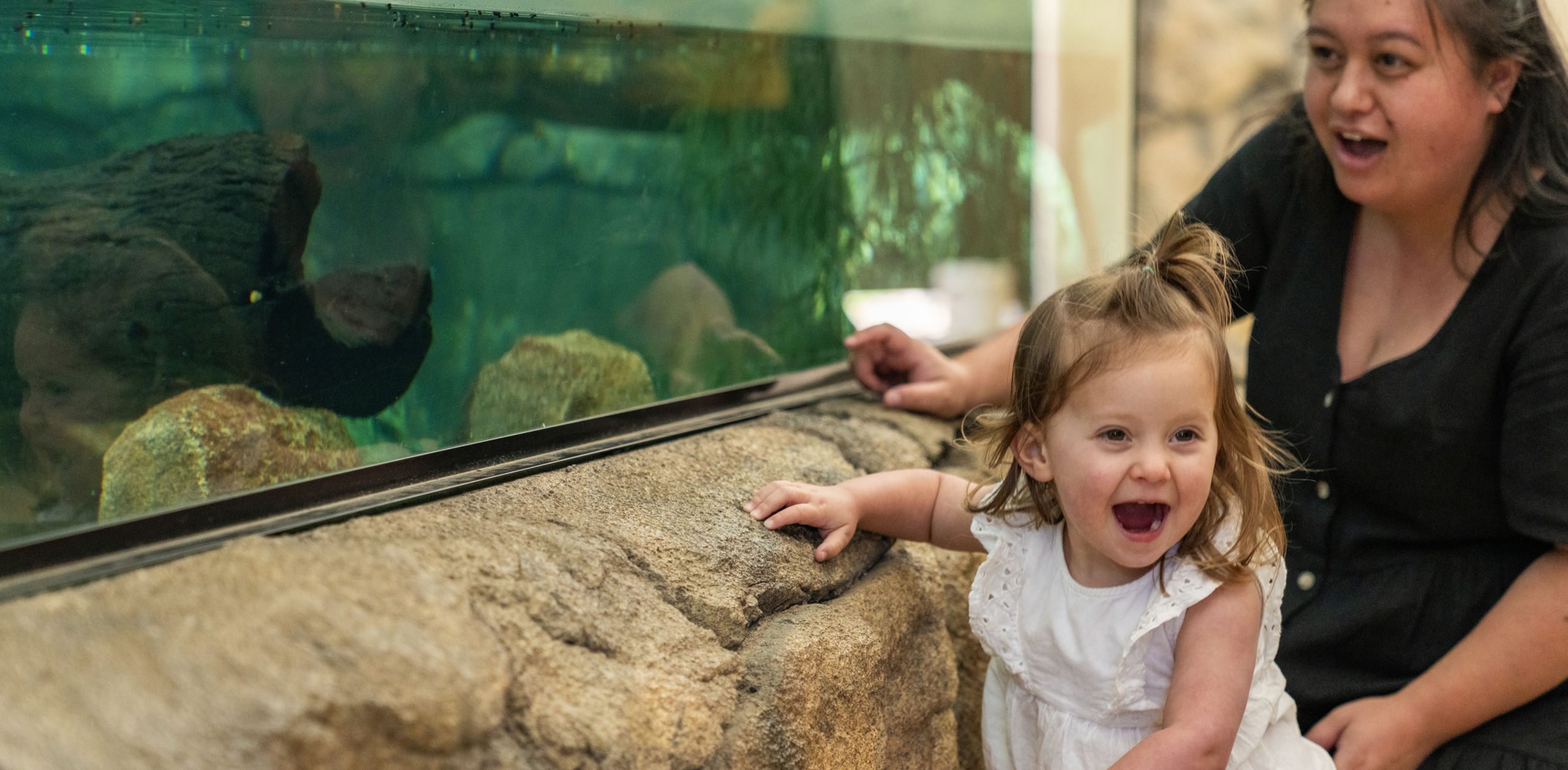 2024 11 24 Dubbo Regional Council Tourism Stills 024