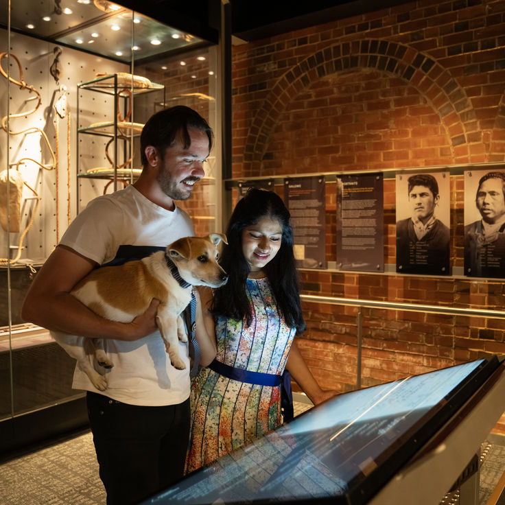 2024 11 24 Dubbo Regional Council Tourism Stills 169