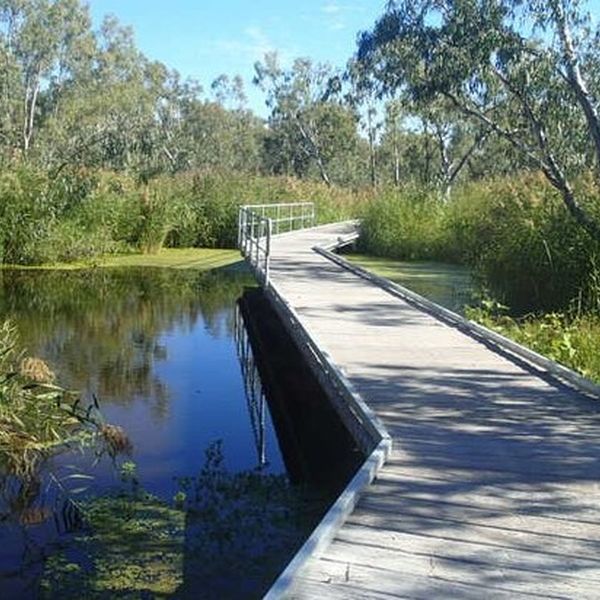 Beautiful boardwalk Photo 2