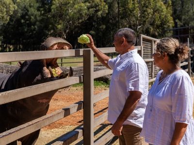 Hippo with Couple