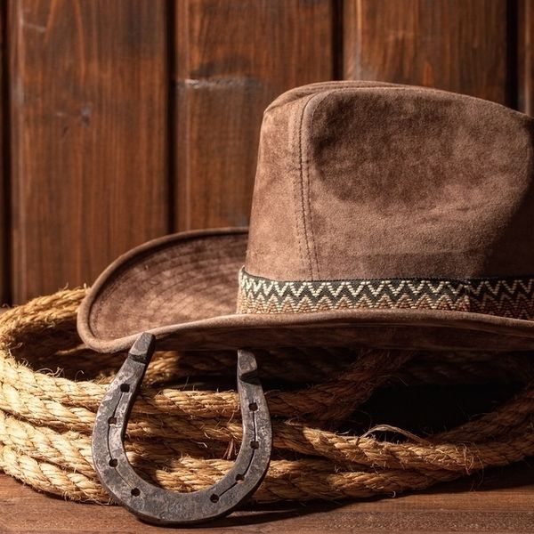 Eliswesternwear 385926 hat rope horseshoe imagea1