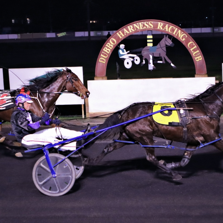 Dubbo Harness Racing