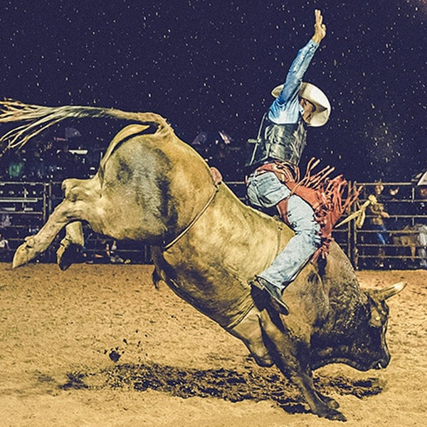 Bullrodeo