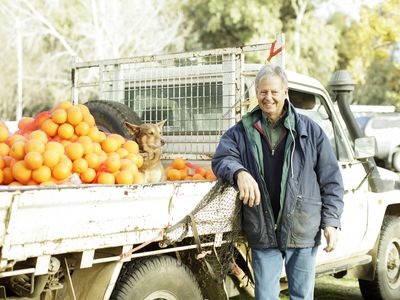 VISIT BUSINESSLISTING Dubbo Farmers Market Farmer 1 CREDIT Destination NSW
