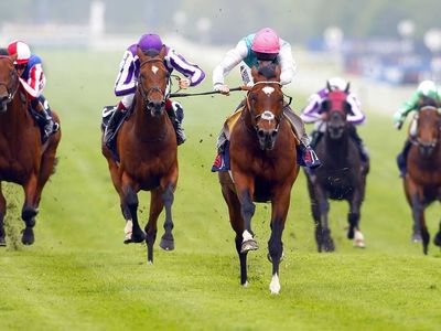 VISIT BUSINESSLISTING Dubbo Turf Club Main Pic