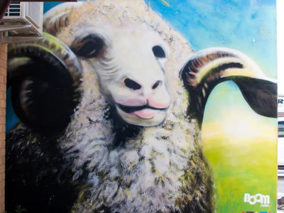Sir Henry (Kater’s Ram)