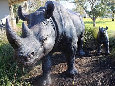 Bronze Rhino @ Dubbo VIC