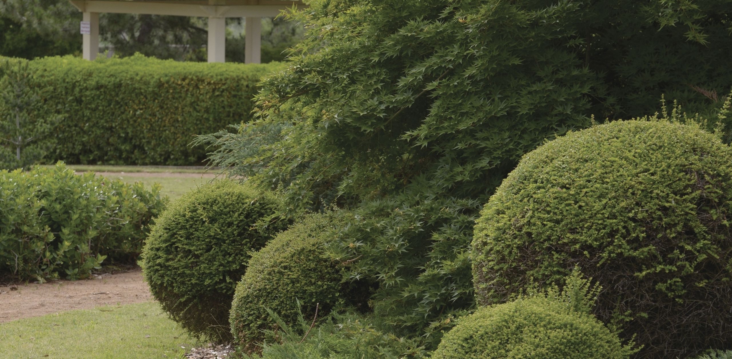 Visit itineraries Wellington Japenese Gardens