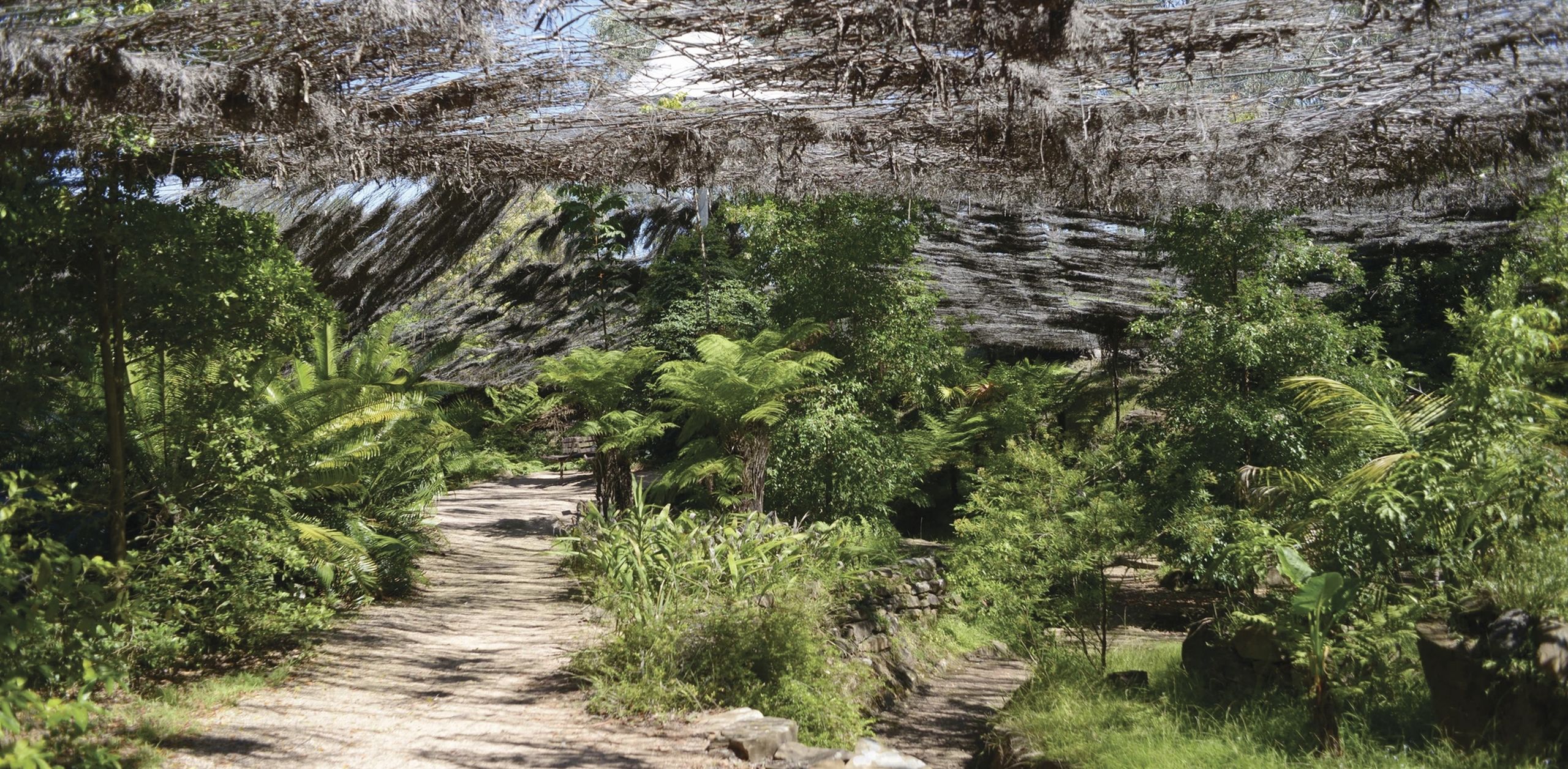 Burrendong Botanic Garden and Arboretum • Dubbo Region