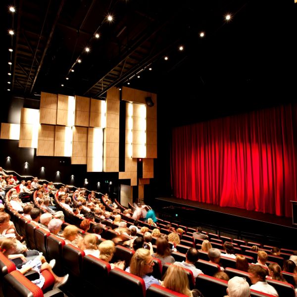 Attractions - Enjoy A Show From The Comfort Of The Tiered Theatre At DRTCC