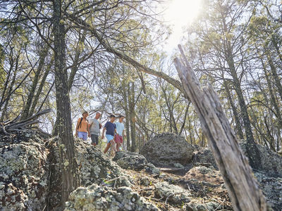 VISIT ATTRACTIONS Mount Arthur Reserve Family Exploring The Native Bushland On Mount Arthur Reserve
