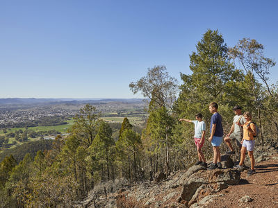 VISIT ATTRACTIONS Mount Arthur Reserve The Best View In Town Atop The Mount Arthur Reserve