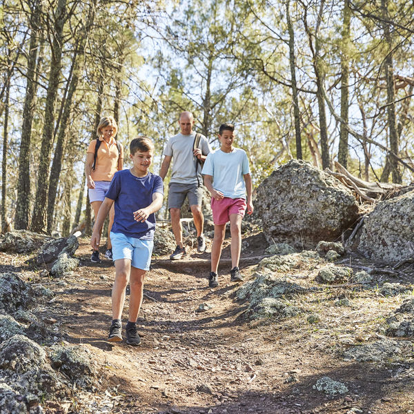 Attractions - Walk Hike Ride Or Run Amongst Nature On Mount Arthur Reserve