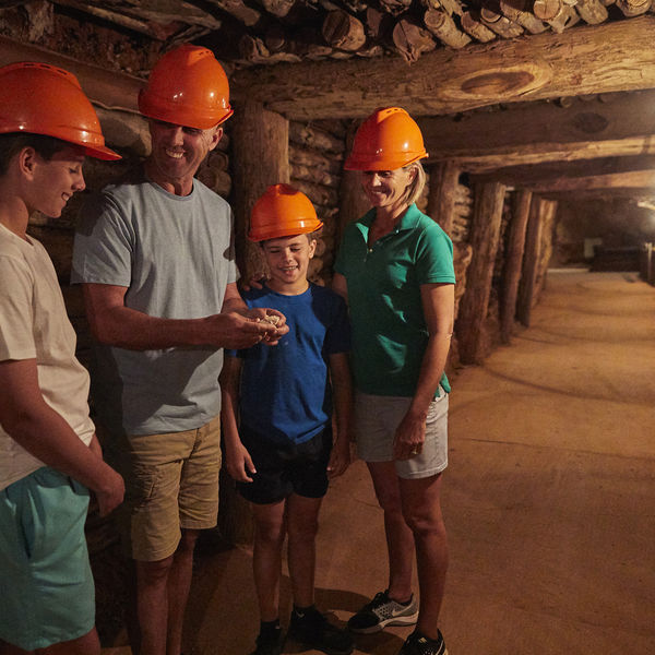 Wellington Fossils and Phosphate Mine