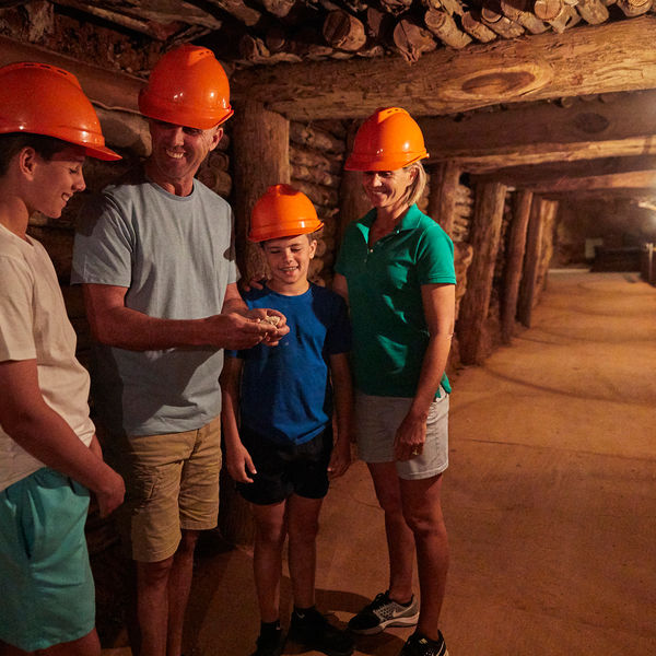 VISIT ATTRACTIONS Wellington Caves Family Adventure At The Wellington Caves Phosphate Mine Tour