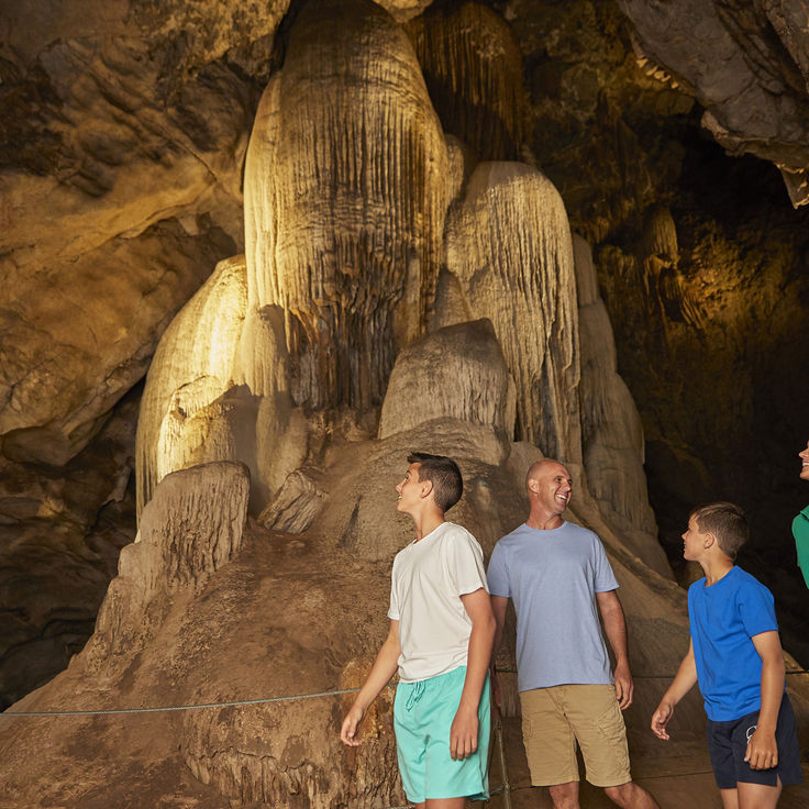 Attractions - Find The Wonder Underground At The Wellington Caves