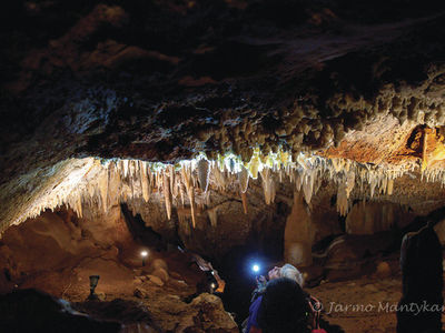 VISIT ATTRACTIONS Wellington Caves Marvel At A Ceiling Full Of Stalactites In Gaden Cave