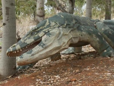 VISIT ATTRACTIONS Wellington Caves Meet Megafauna Models On The Wellington Caves Reserve