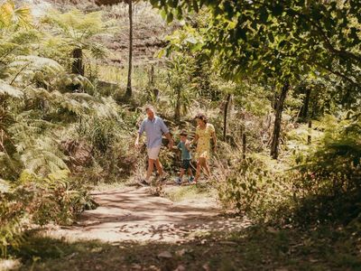 BLOG Burrendong Arboretum Fern Gully