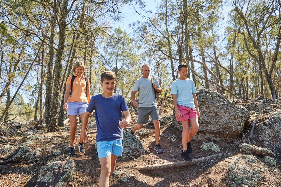 BLOG Mount Arthur Reserve Bush walking