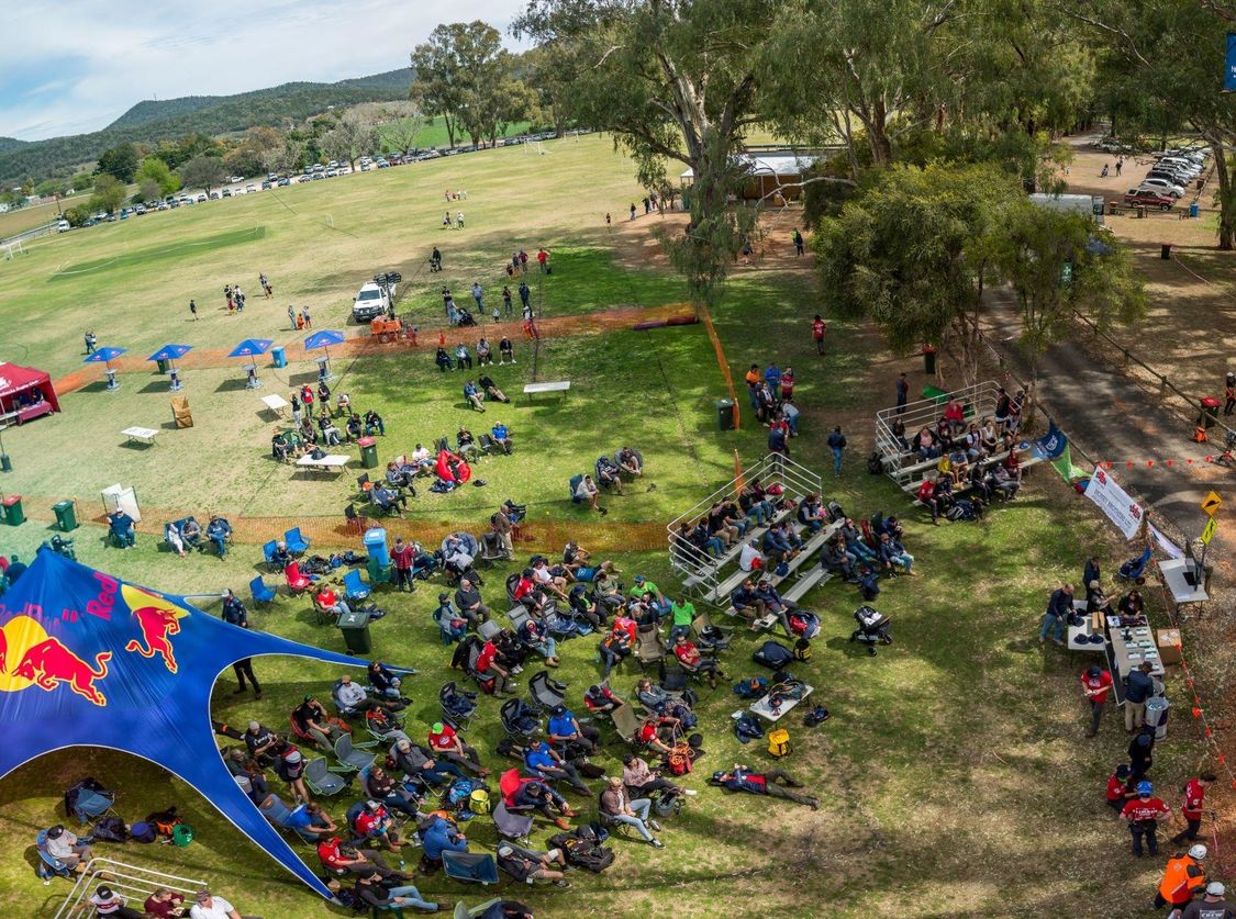 Red Bull Branched Out Tree Climbing Championship