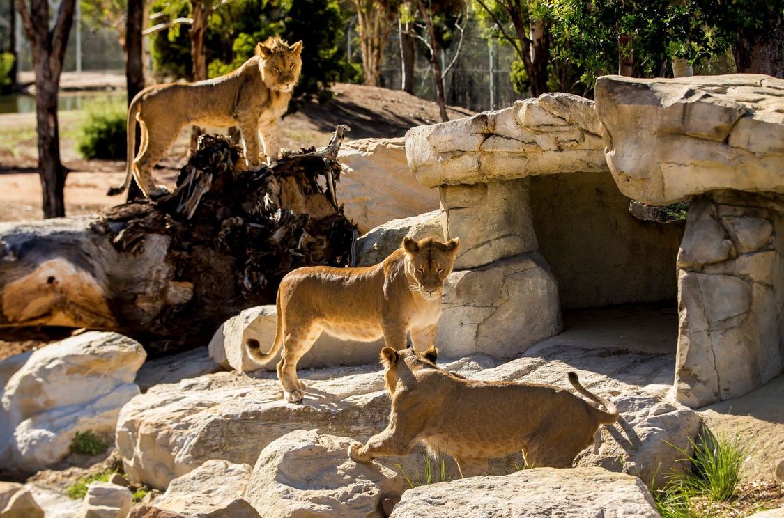 Bespoke experiences for delegates