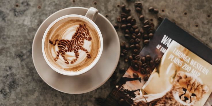 Eating Out - Zoo Cafe and Bar